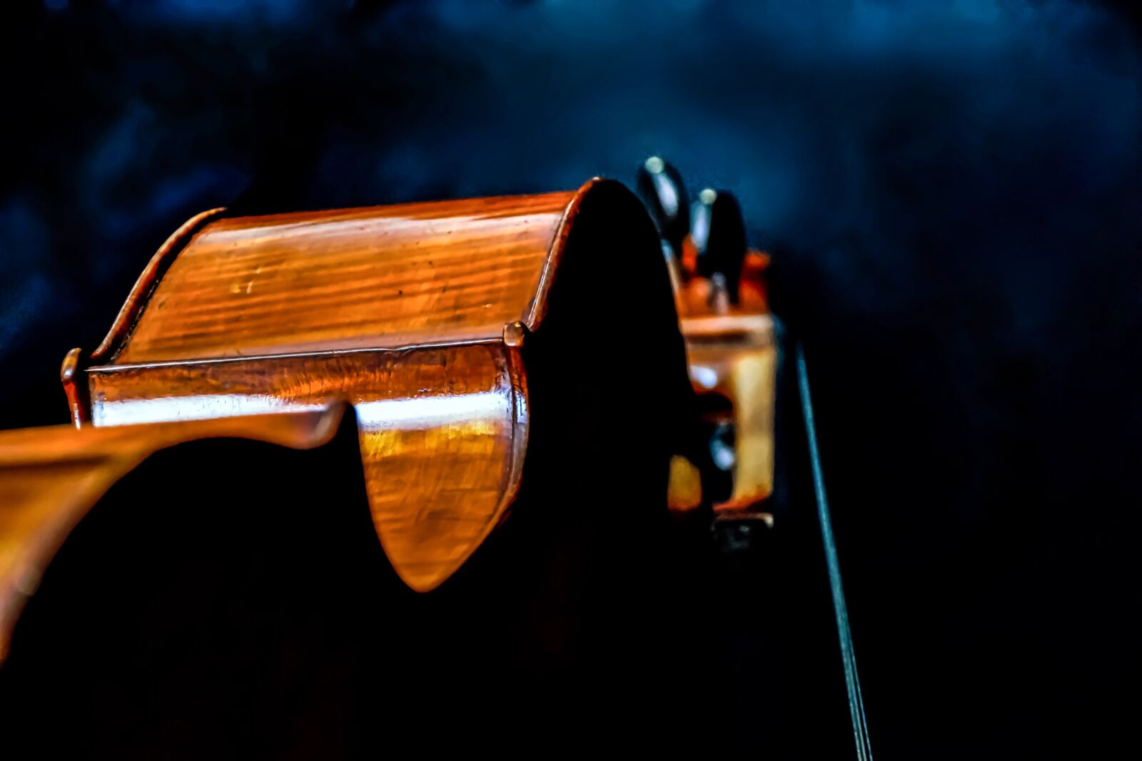 Nikon D5600 sample photo. Cello, contour, magic photography