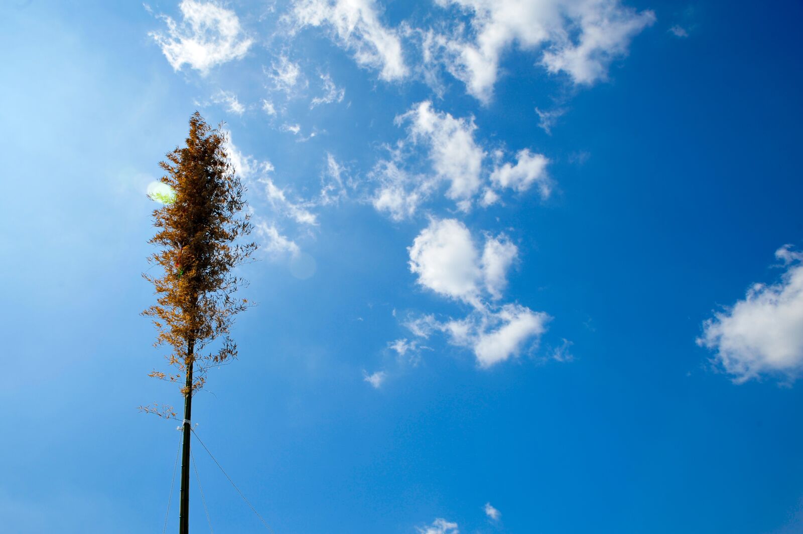 Nikon D700 sample photo. Nature, heaven, summer photography