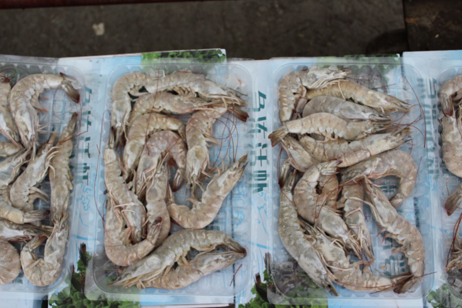 Canon EOS 1300D (EOS Rebel T6 / EOS Kiss X80) sample photo. Shrimp, prawns, frozen shrimp photography