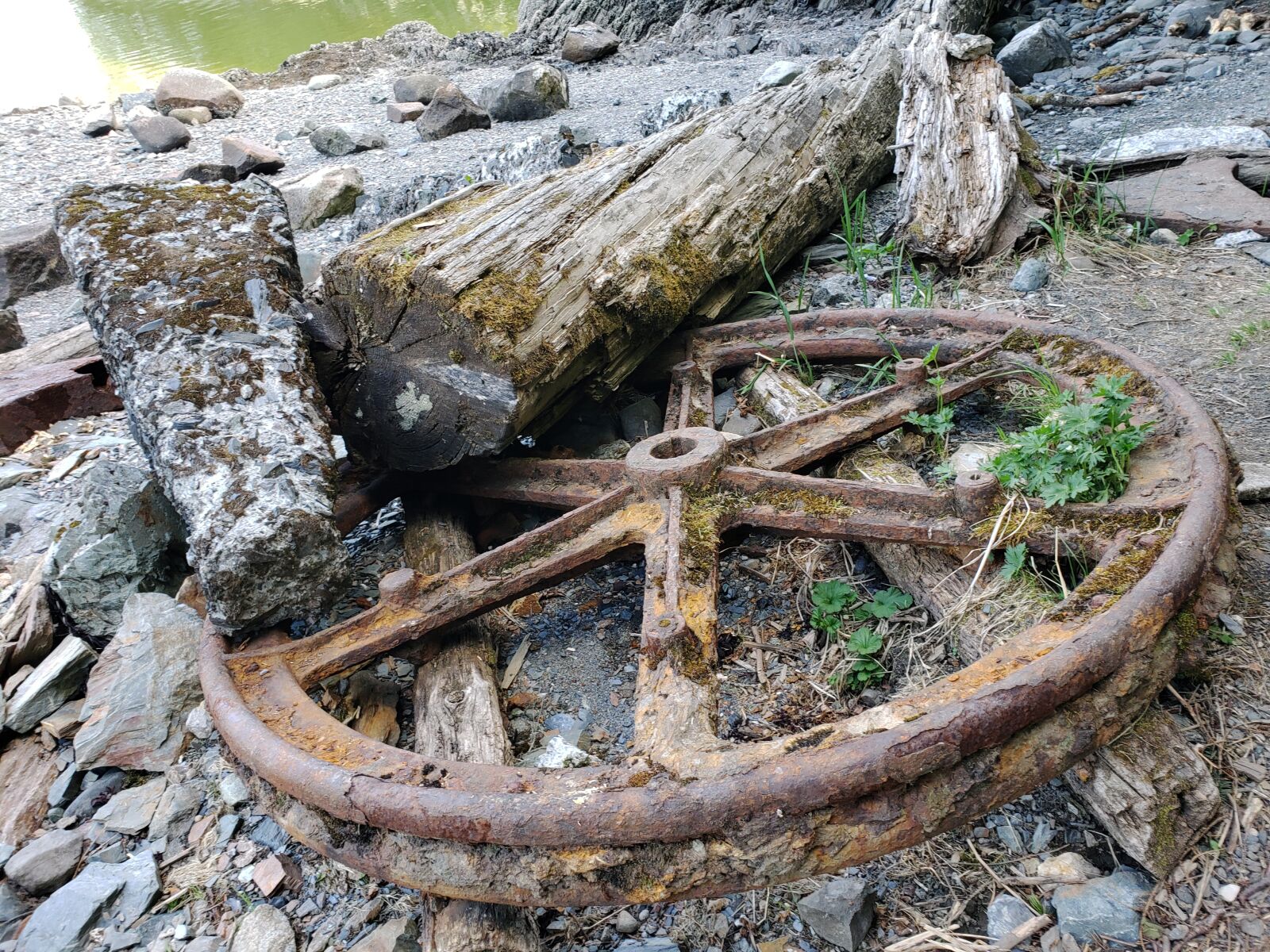 Samsung Galaxy S9+ sample photo. Wheel, abandoned, antique photography