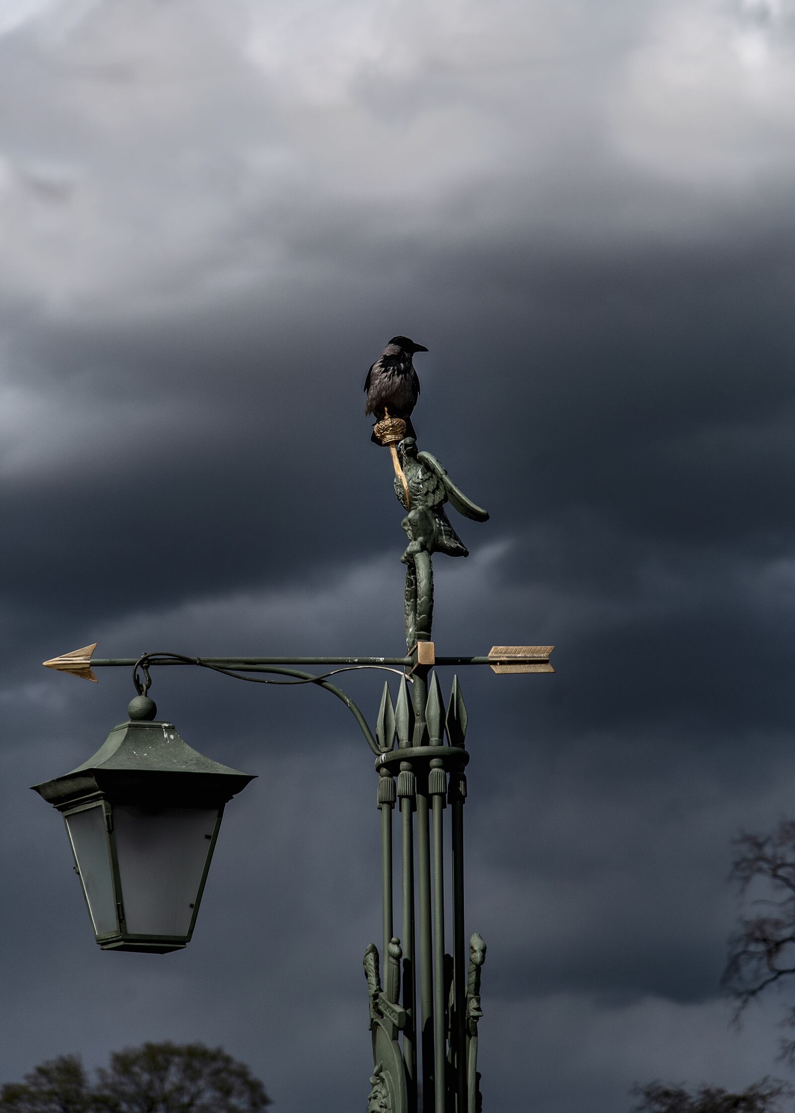 Nikon D750 sample photo. Peter, city, st petersburg photography