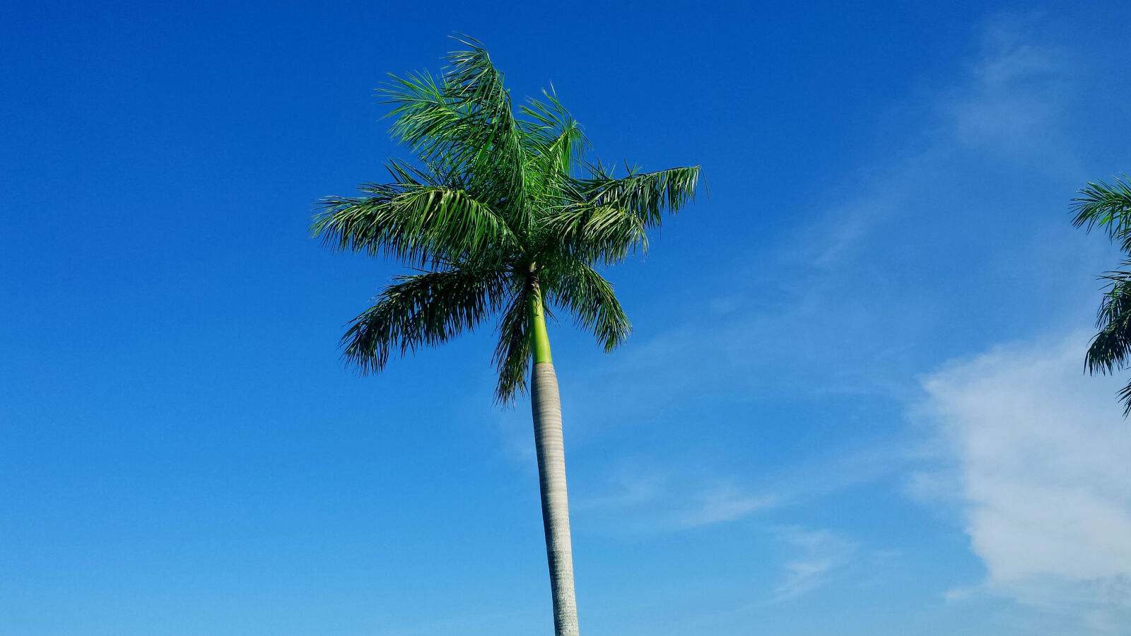 Samsung Galaxy S4 sample photo