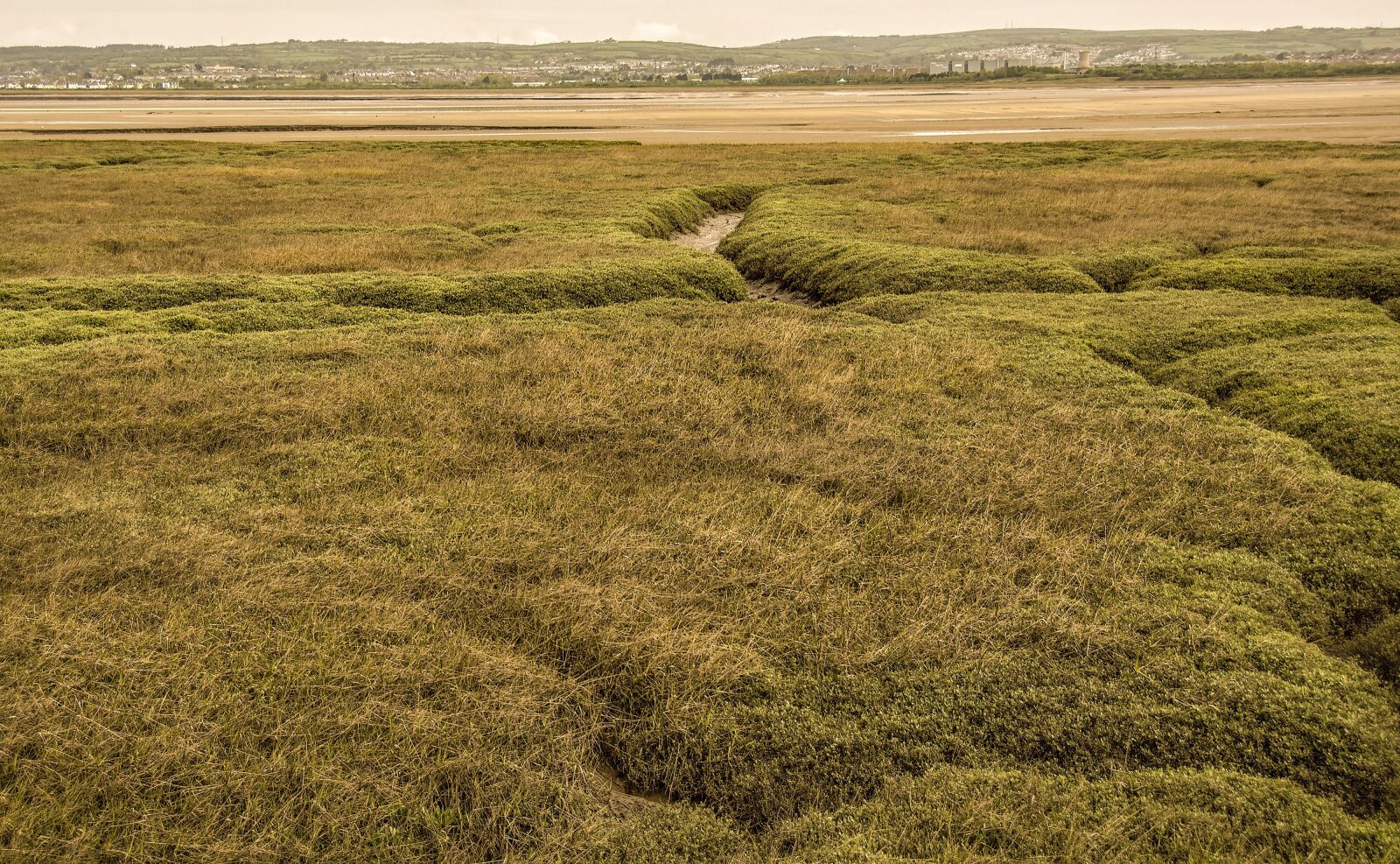 Nikon D5200 sample photo. Coastal, flood plain, gower photography