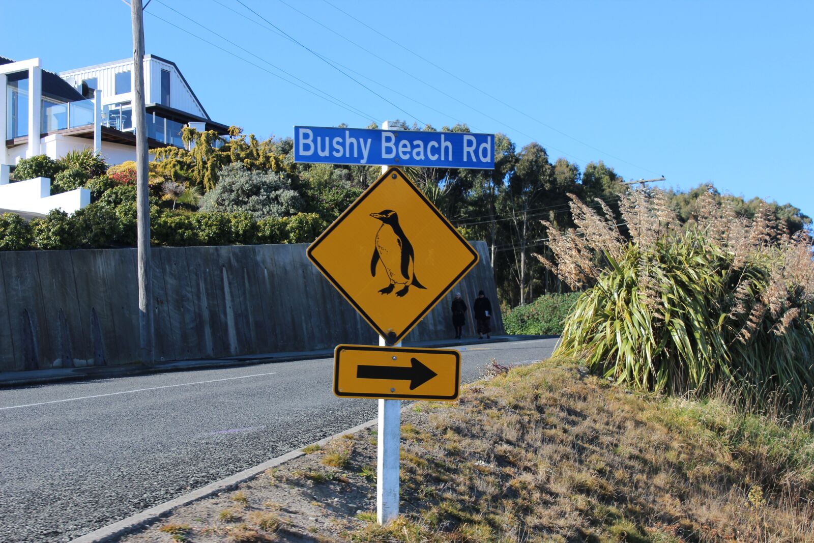 Canon EOS 600D (Rebel EOS T3i / EOS Kiss X5) sample photo. Penguins, street sign, bushy photography