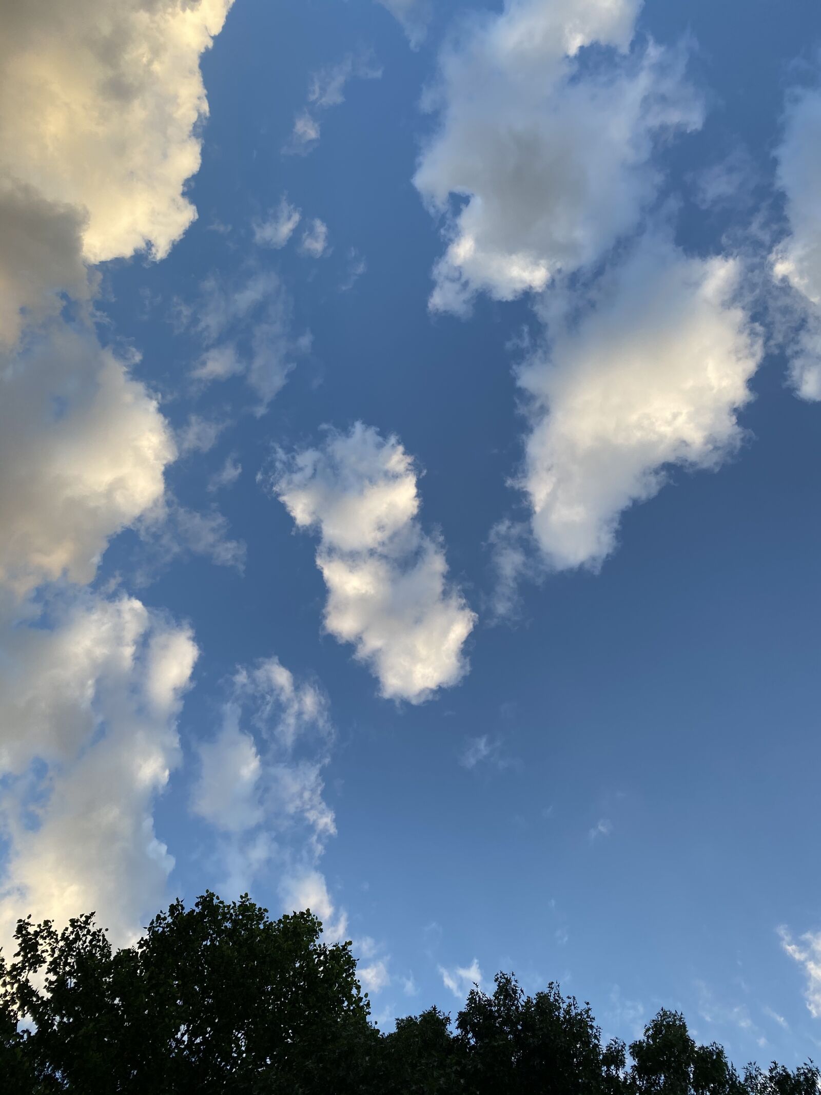 Apple iPhone 11 Pro Max sample photo. Sky, heaven, clouds photography