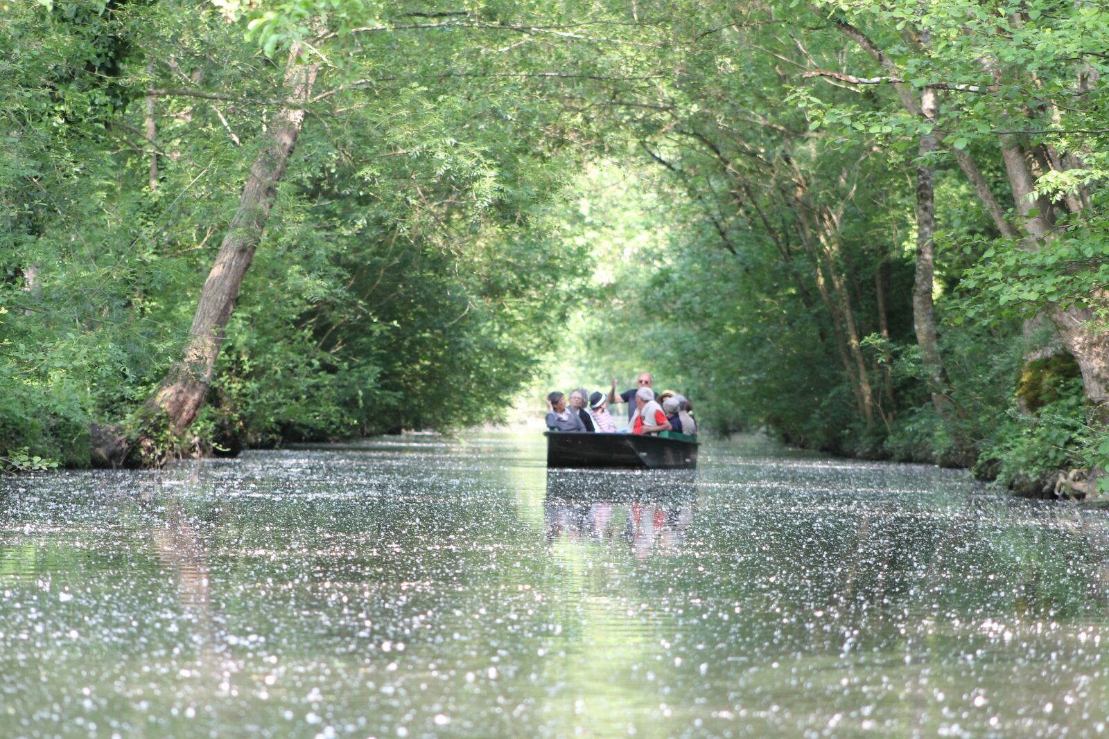 Canon EF 75-300mm f/4-5.6 sample photo. Water, boat, marsh photography