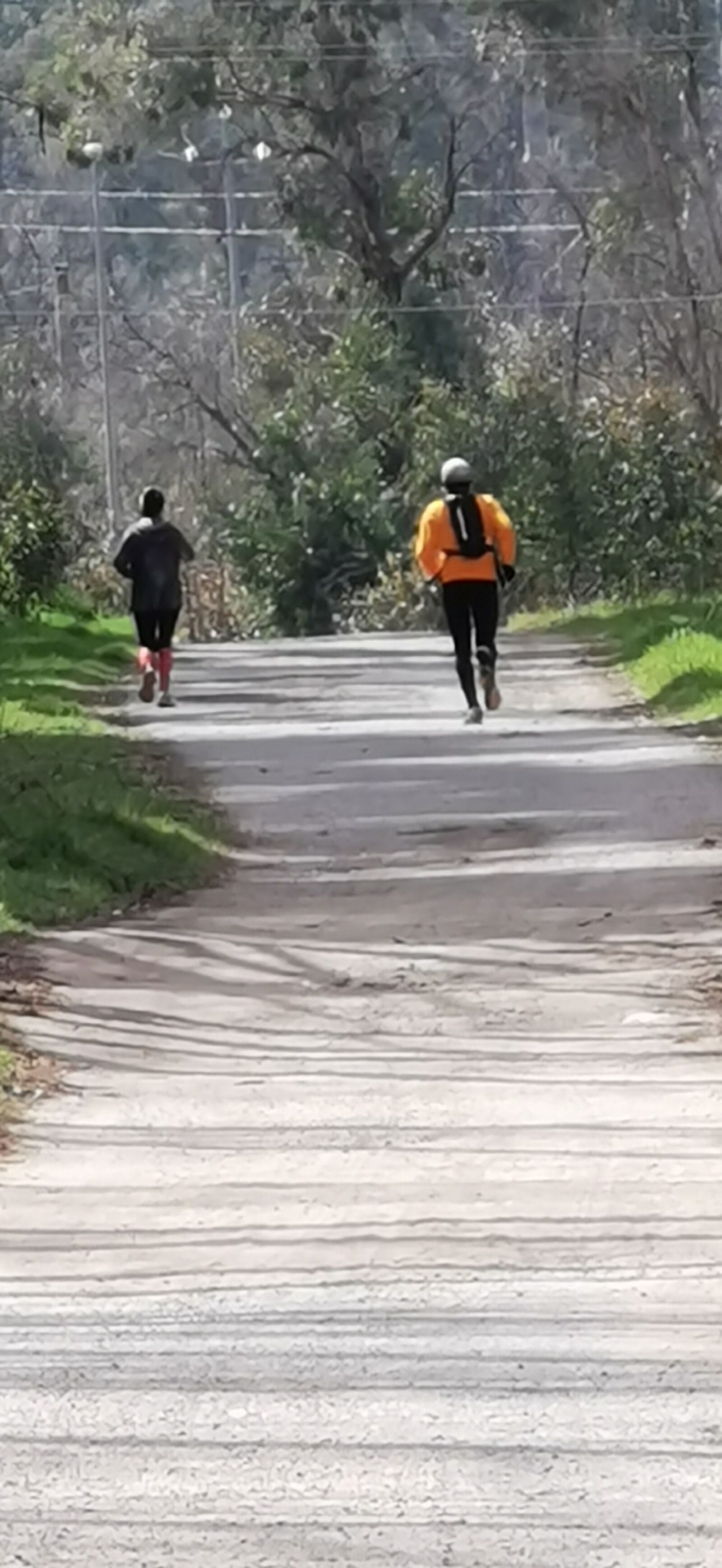 HUAWEI P30 Pro sample photo. Nature, three, tourism photography