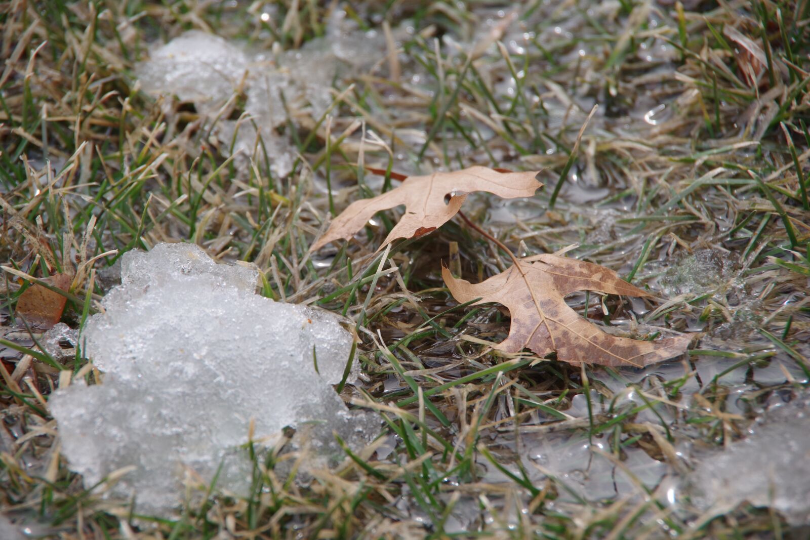 Pentax K-70 sample photo. Snow, melt, spring photography