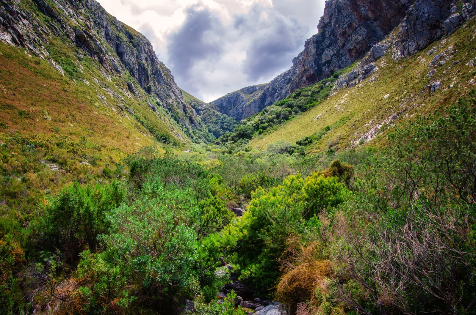 Nikon D7000 sample photo. Valley, mountains, forest photography