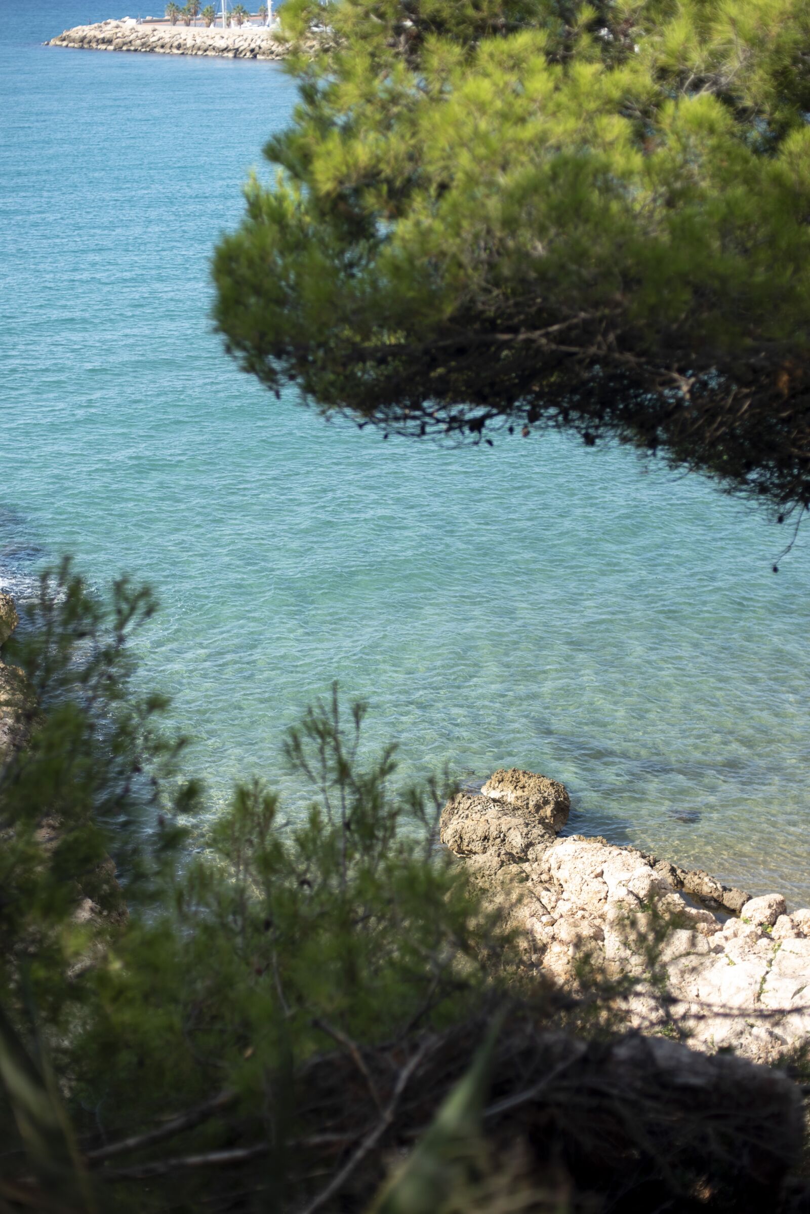Nikon D750 sample photo. Beach, spain, water photography