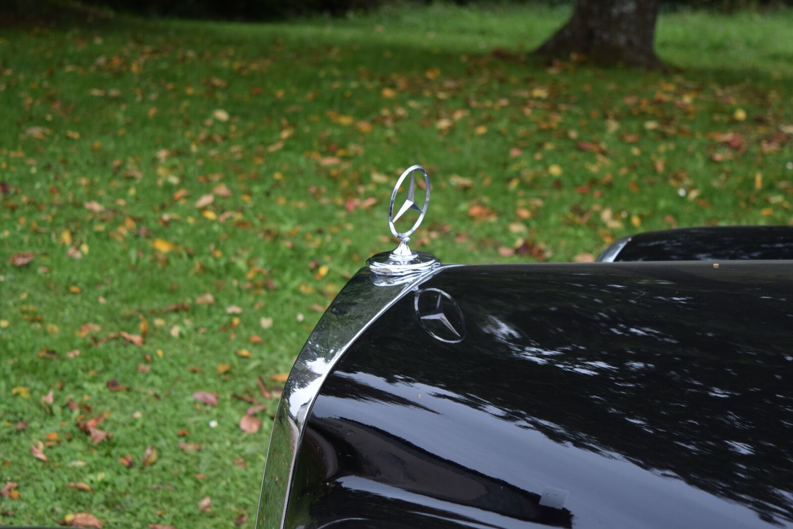 Nikon D3300 sample photo. Auto, mercedes, oldtimer photography