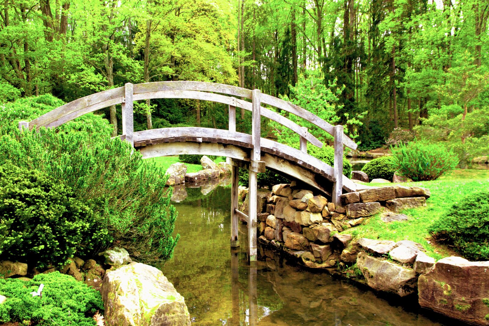 Canon EOS 7D sample photo. Bridge, japanese, garden photography