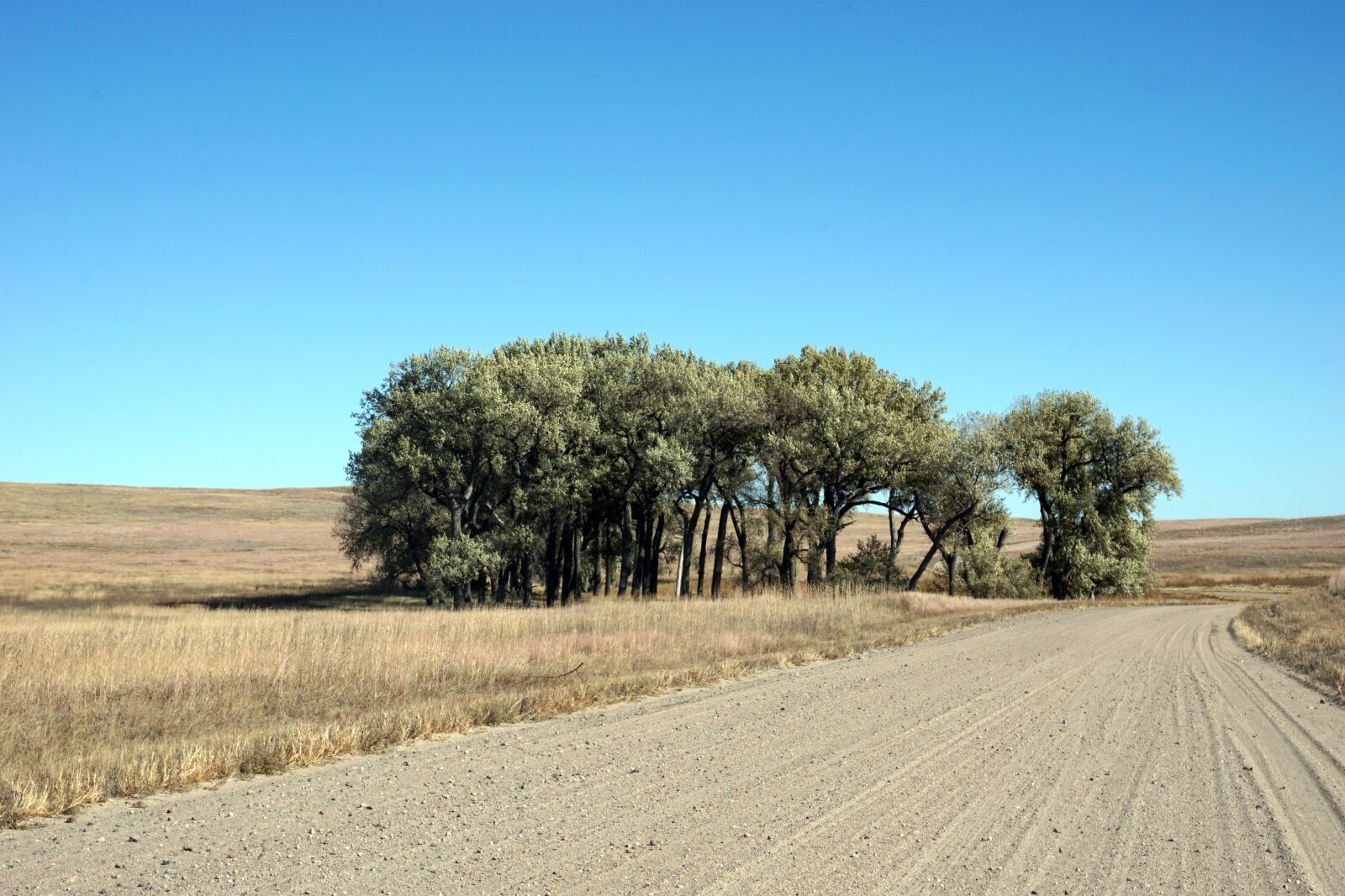 Sony a6000 sample photo. Usa, nebraska, midwest photography