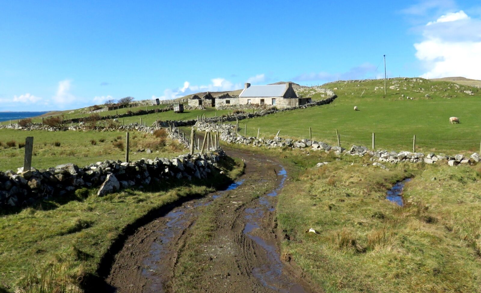 Canon PowerShot SX60 HS sample photo. Landscape, fields, path photography