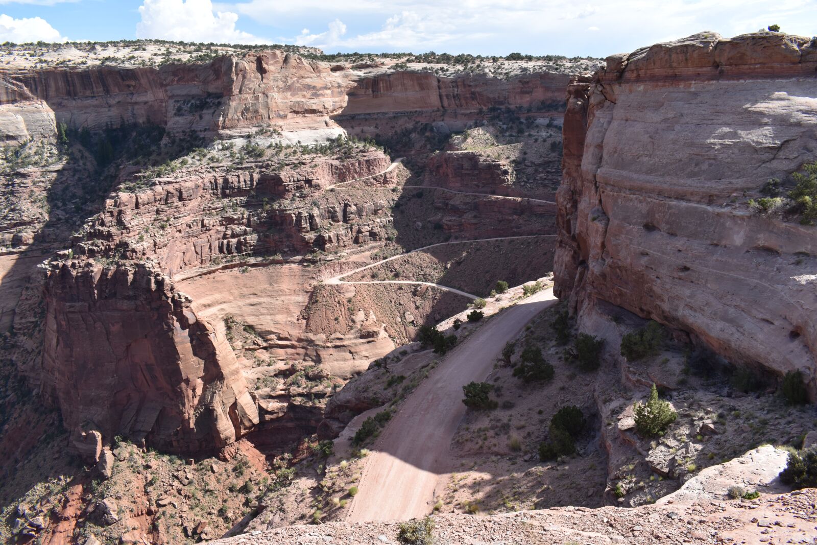 Nikon D5600 sample photo. Road, dirt, winding photography