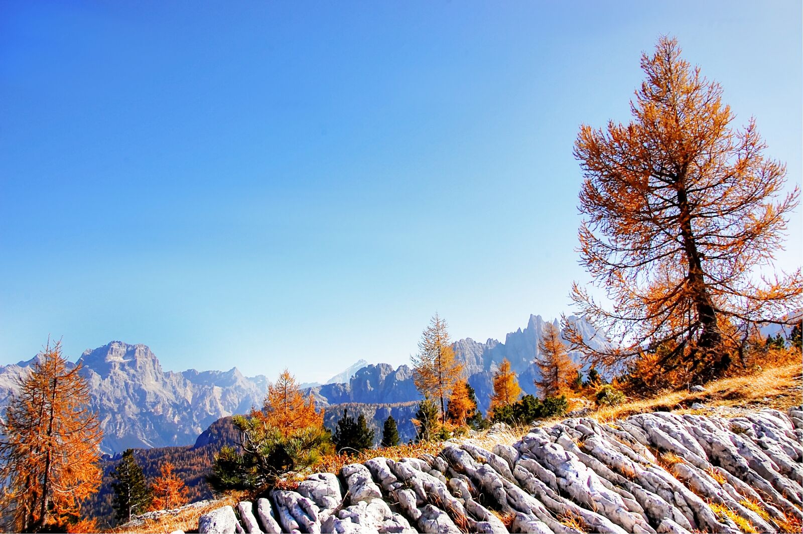 Nikon D40 sample photo. Croda da lago, dolomites photography