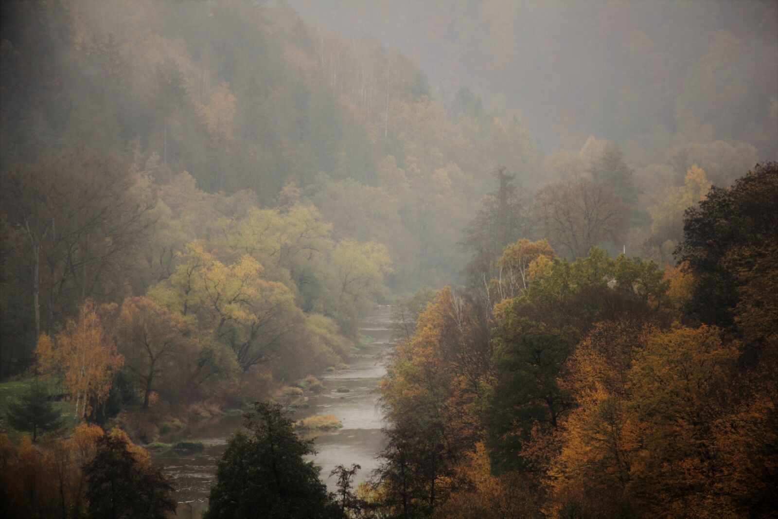 Canon EOS 550D (EOS Rebel T2i / EOS Kiss X4) sample photo. Fog, autumn, haze photography