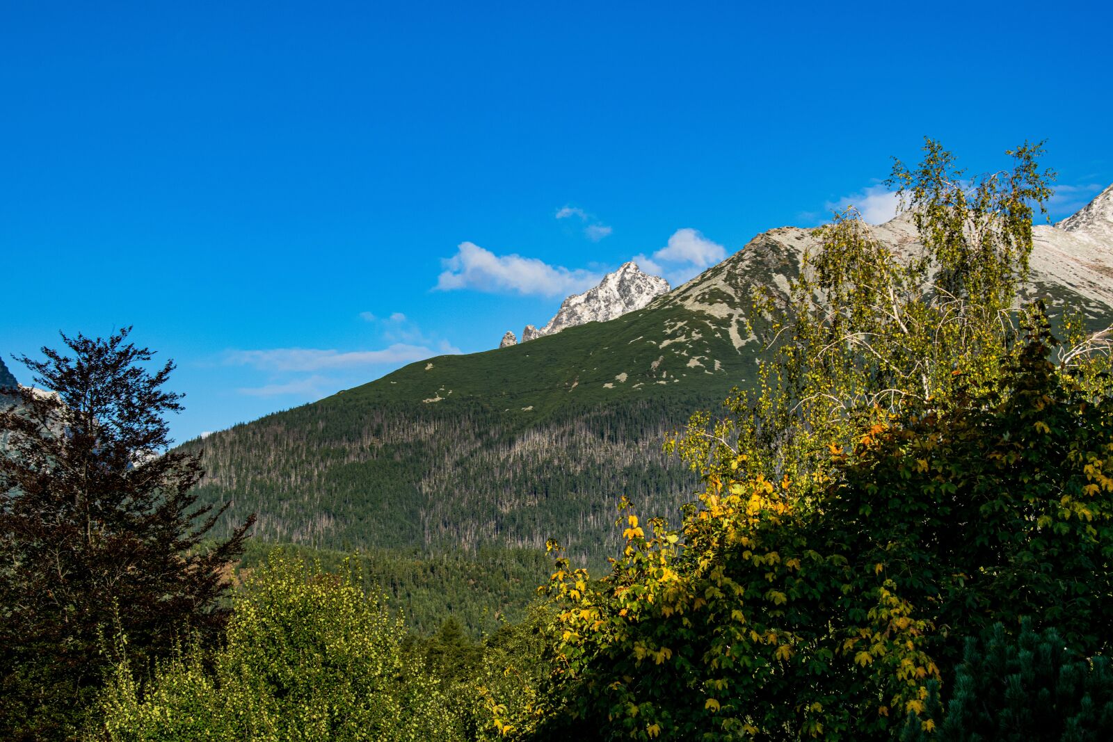 Nikon D5300 sample photo. Slovakia, mountains, forests photography