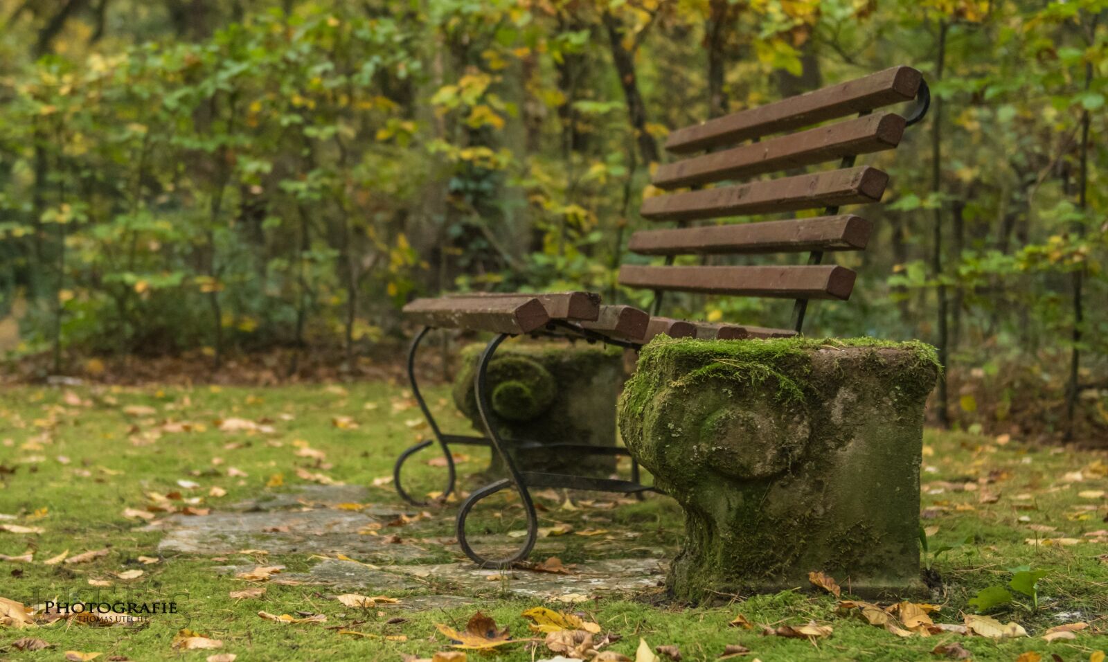 Nikon D500 sample photo. Bank, cemetery, rest photography