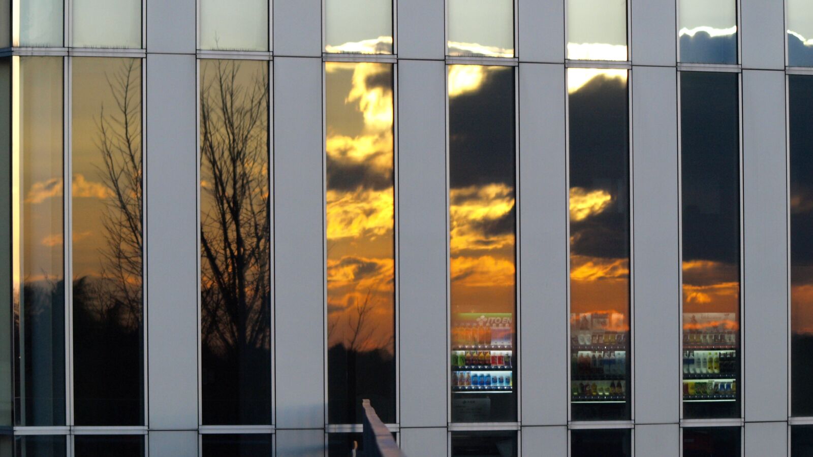 Olympus E-510 (EVOLT E-510) sample photo. Building, lattice, glass photography