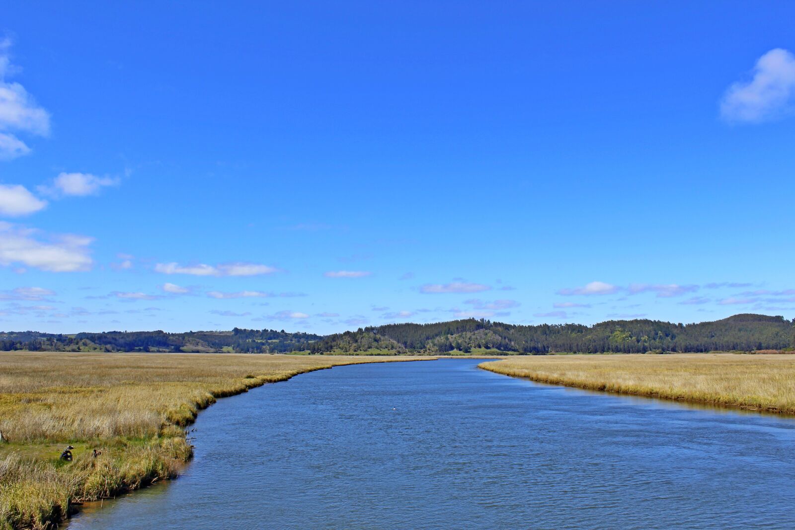 Canon EOS 1200D (EOS Rebel T5 / EOS Kiss X70 / EOS Hi) sample photo. River, straw, nature photography