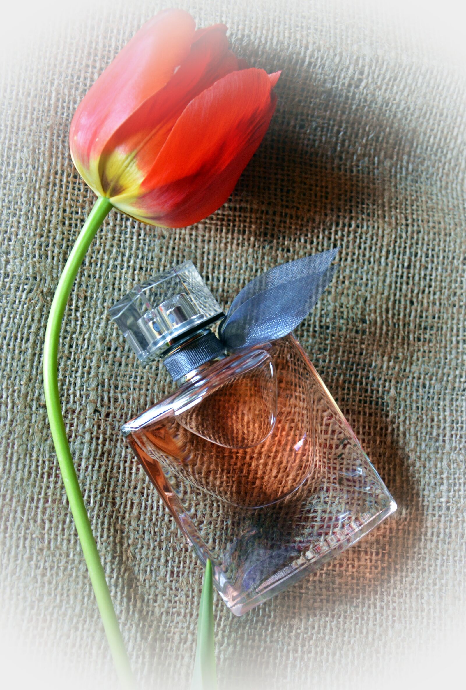 Nikon D7100 sample photo. Tulip, perfume, feeling photography