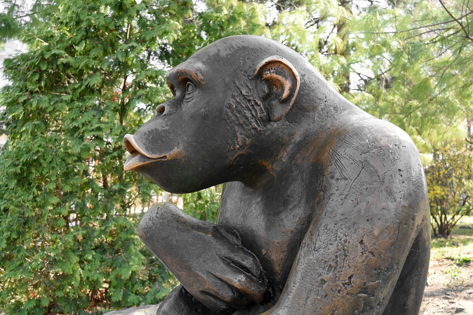 Nikon D5500 sample photo. Art, bronze, cast iron photography
