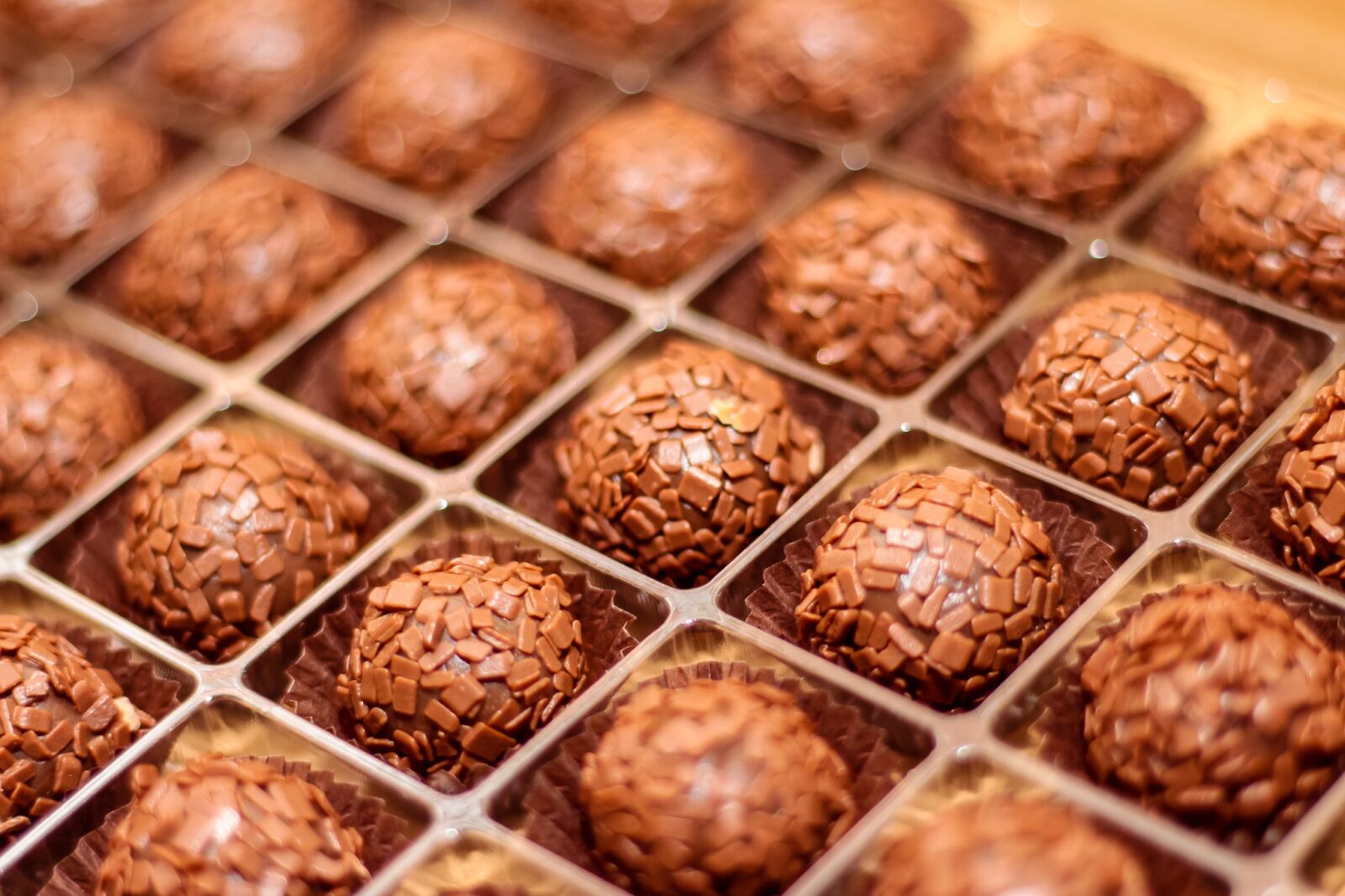 Canon EF 50mm F1.8 II sample photo. Food, no person, close-up photography