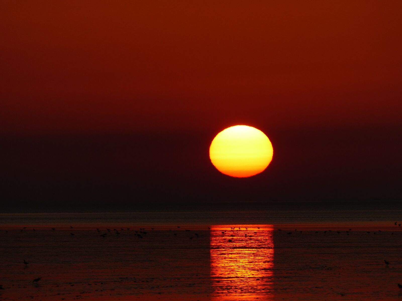 Panasonic Lumix DMC-FZ200 sample photo. Sunset, north sea, nordfriesland photography