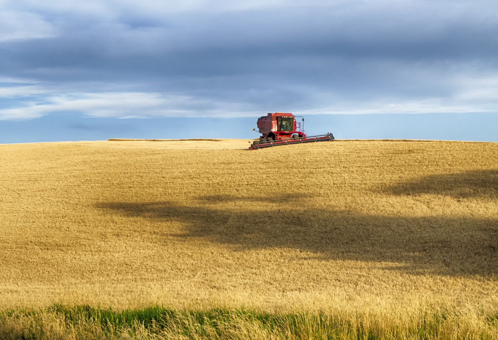 Nikon D5100 sample photo. Wheat harvest, usa, idaho photography