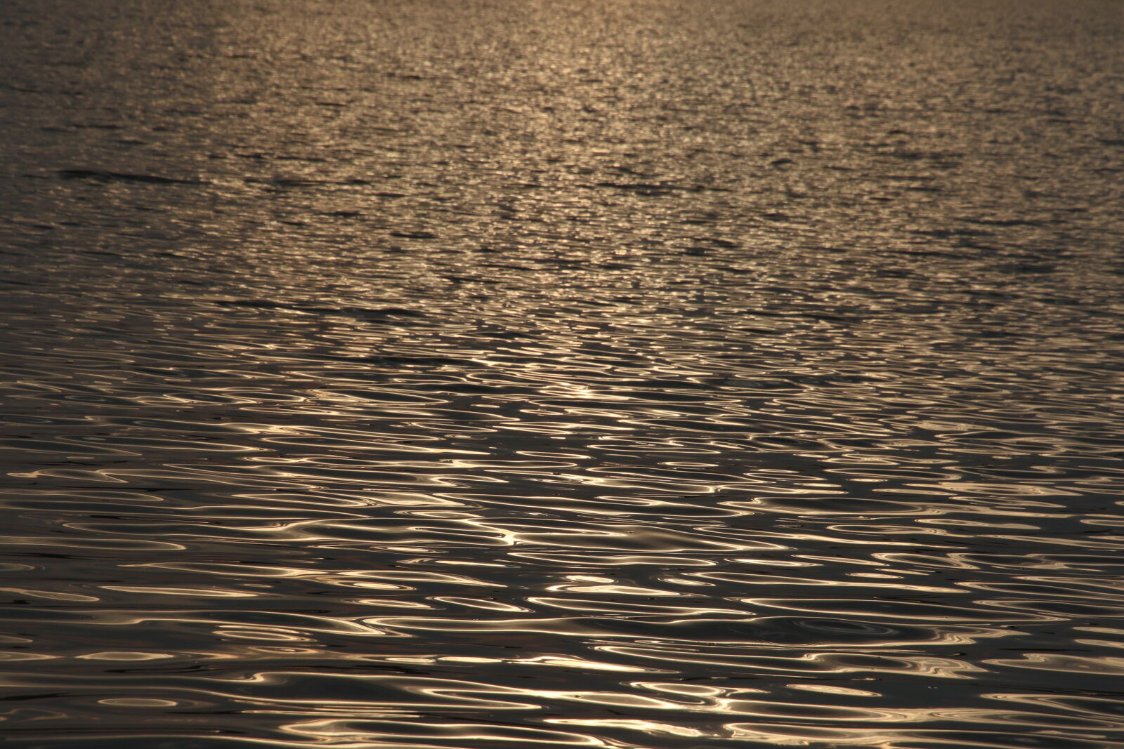 Canon EOS 7D Mark II sample photo. Background, cruise, drink, early photography
