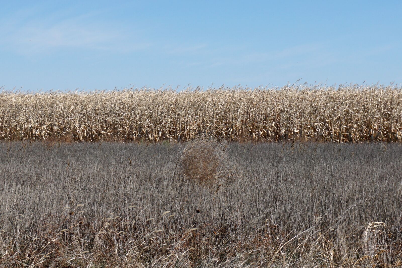 Sony a6000 sample photo. Usa, nebraska, midwest photography