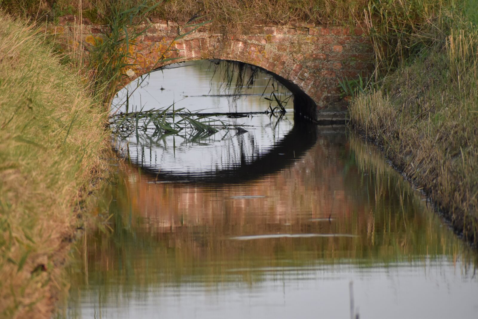 Nikon D3500 sample photo. Bridge, romantic, landscape photography