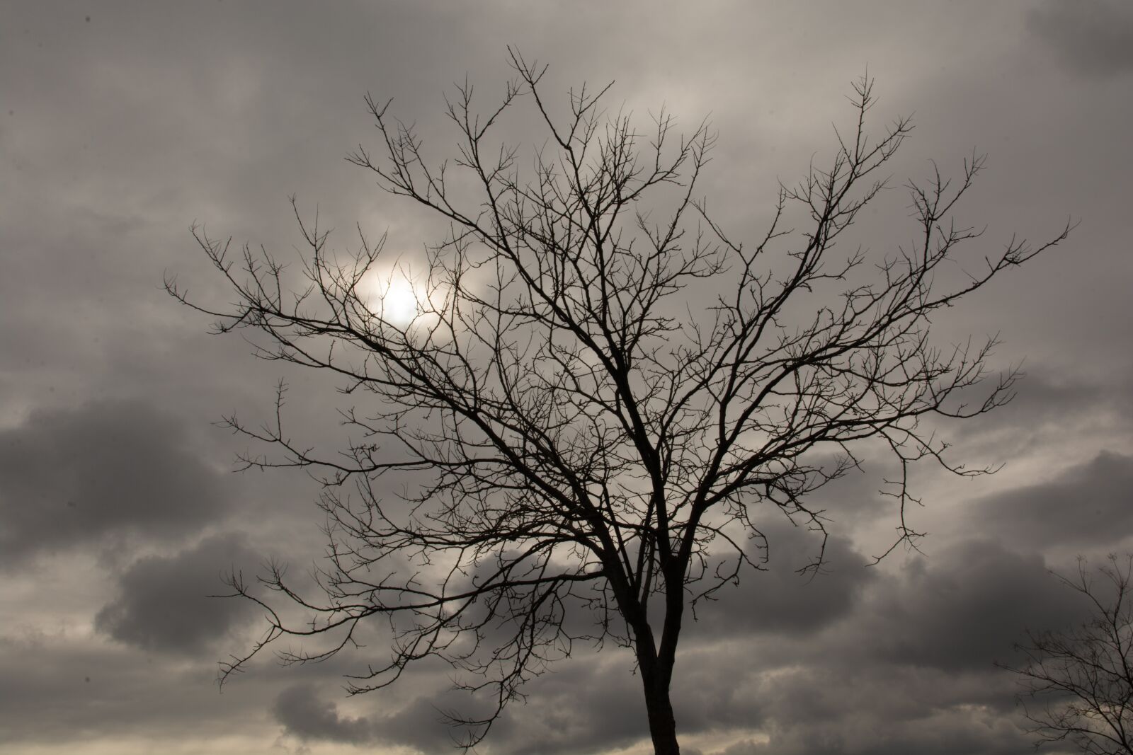 Nikon D7100 sample photo. Sun, clouds, sky photography