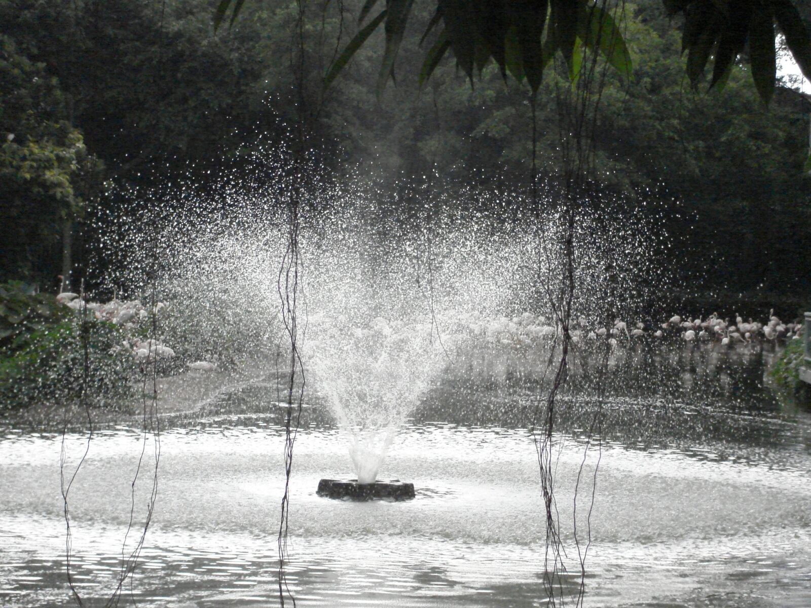 Sony DSC-S600 sample photo. Fountain, spray, aqua photography
