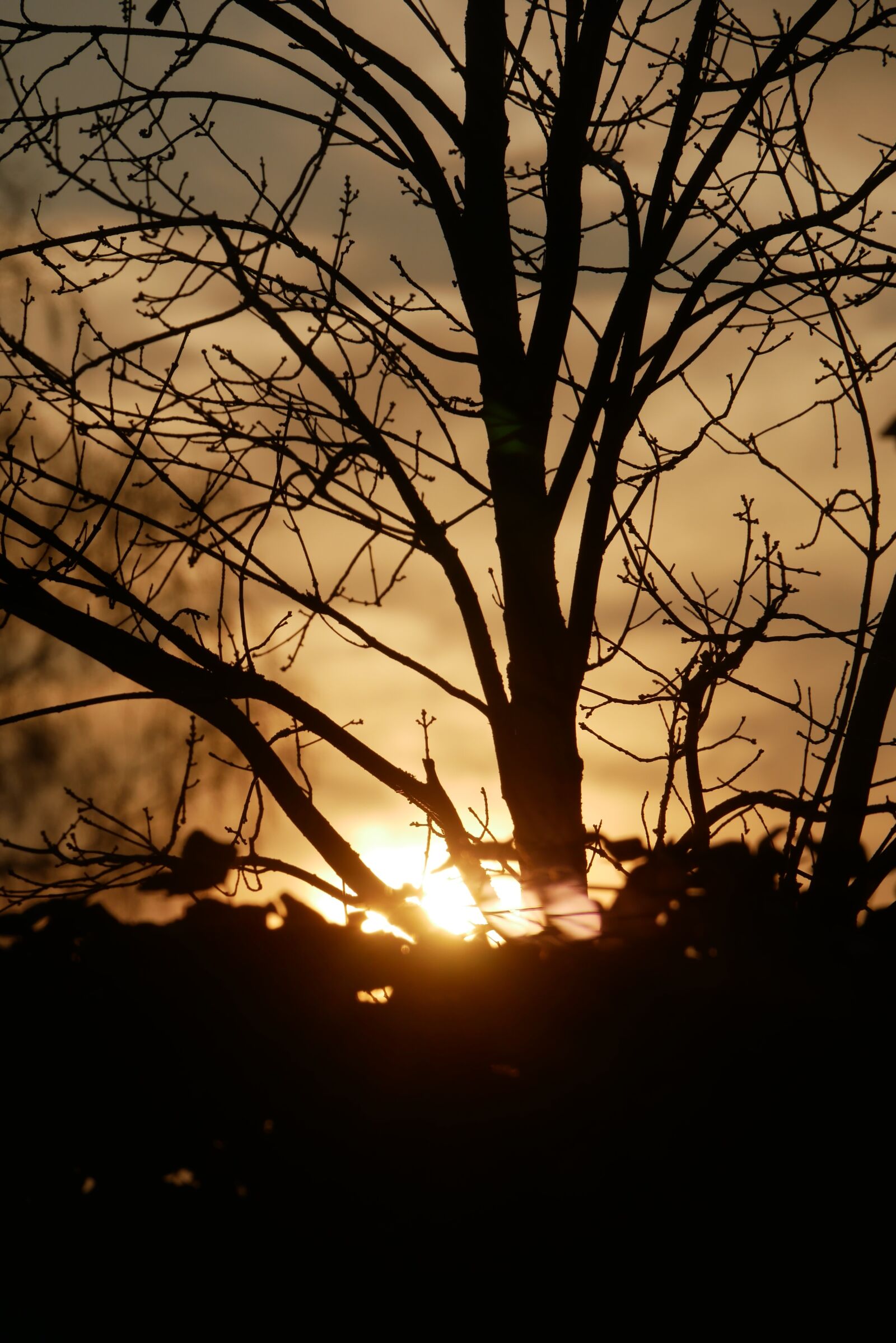 Panasonic Lumix DMC-G85 (Lumix DMC-G80) sample photo. Sunrise, sunset, atmosphere photography