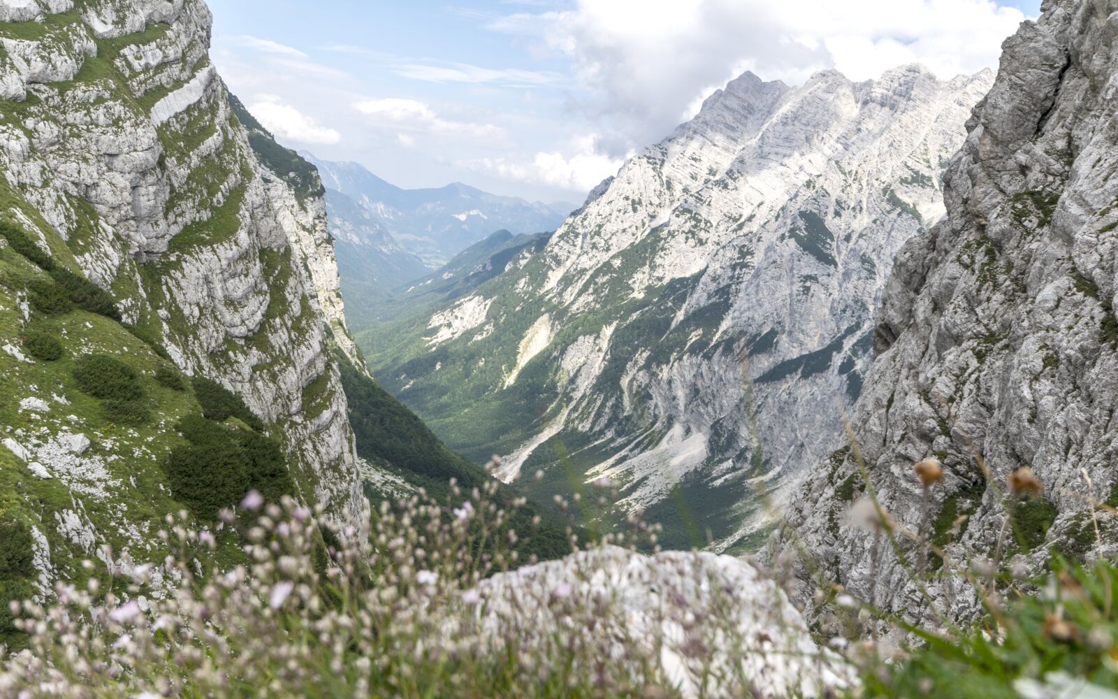 Nikon D3300 sample photo. Alps, mountains, panorama photography