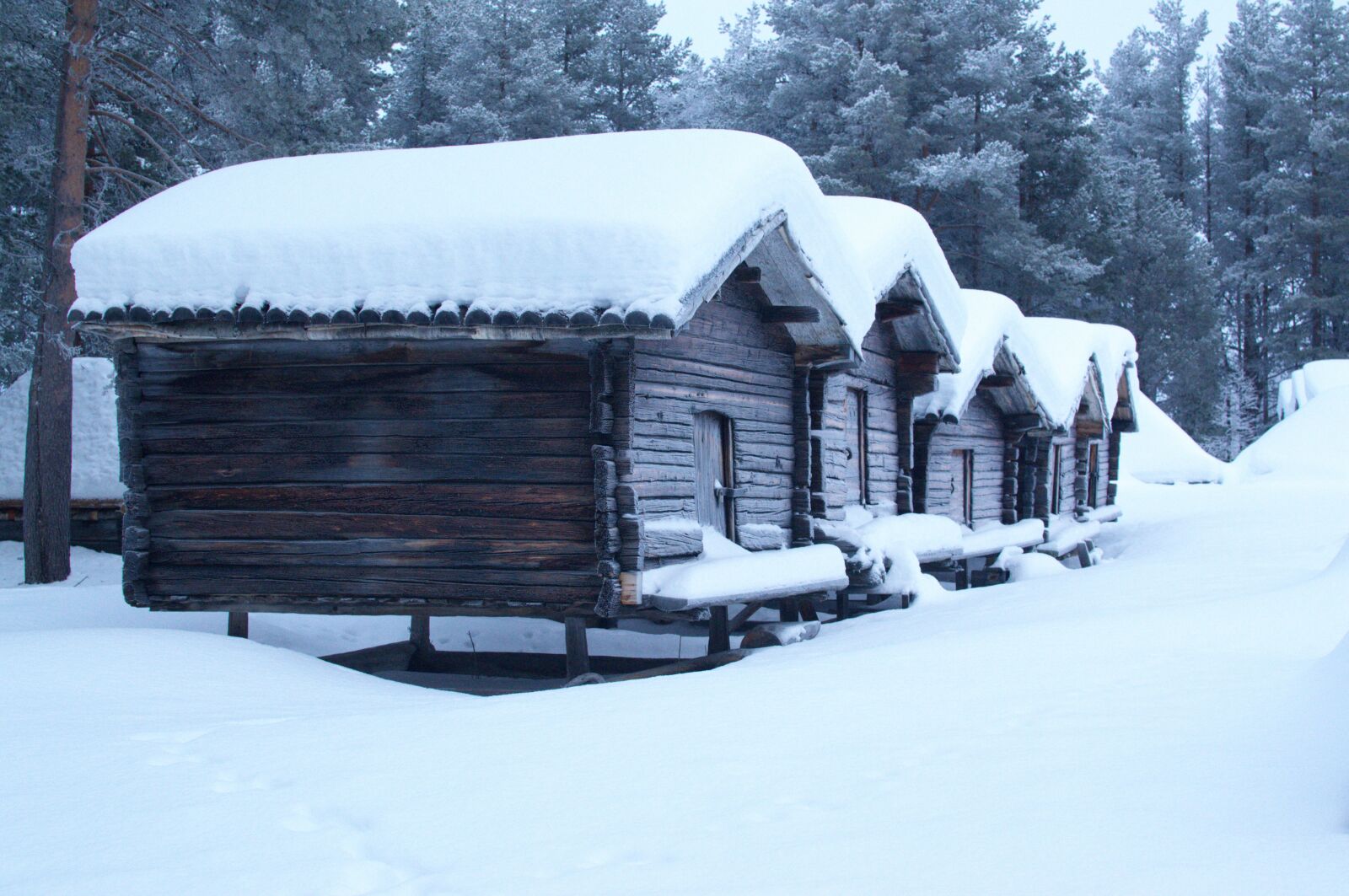 Nikon D3100 sample photo. Sweden, snow, travel photography