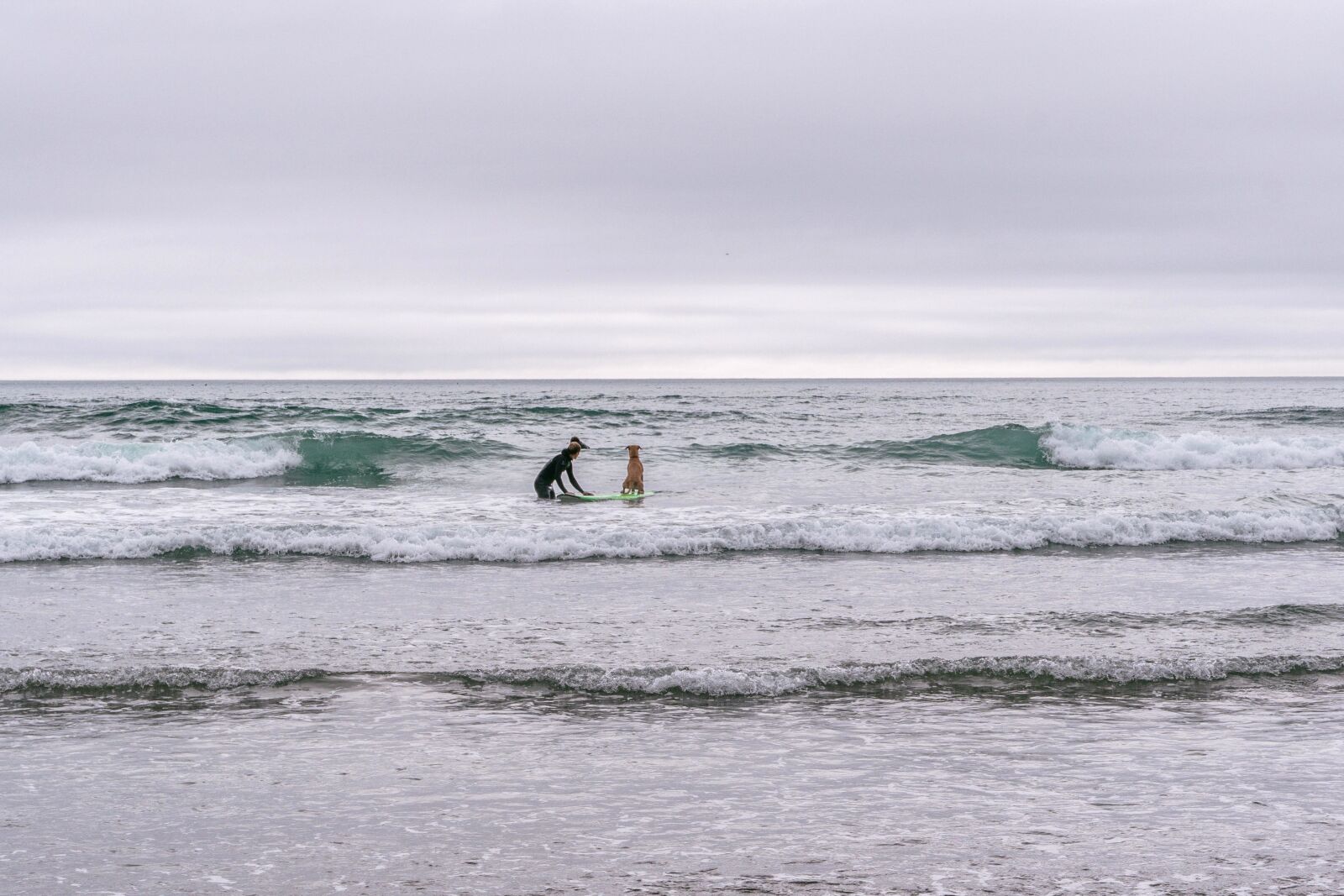 Sony a6300 sample photo. Dog, surfing, water, sea photography