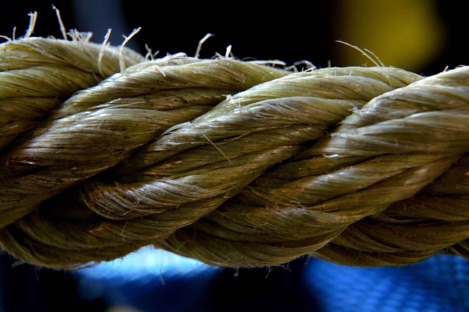 Nikon D3200 sample photo. Rope, string, old photography