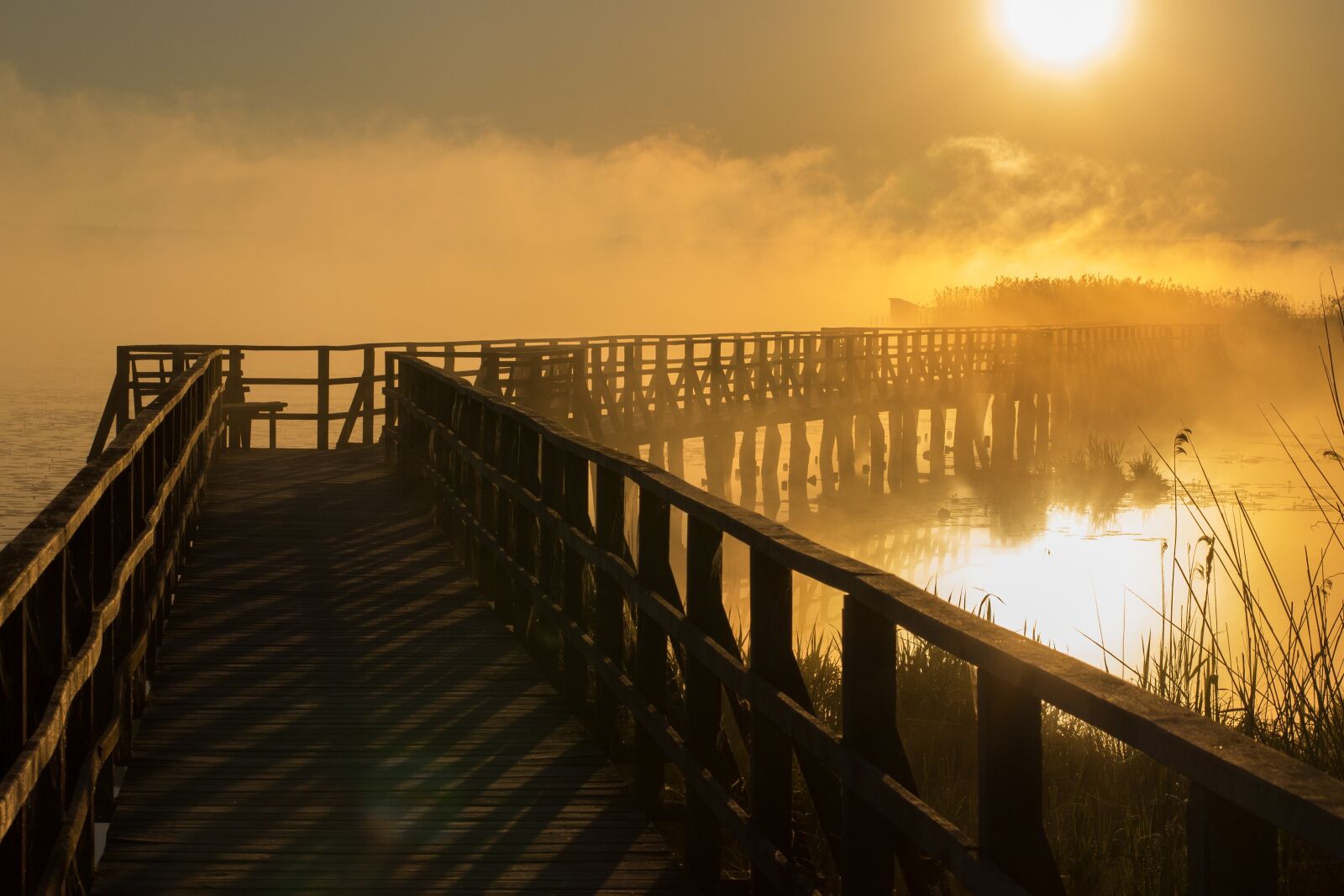 Canon EOS 600D (Rebel EOS T3i / EOS Kiss X5) sample photo. Spring lake, sunrise, fog photography