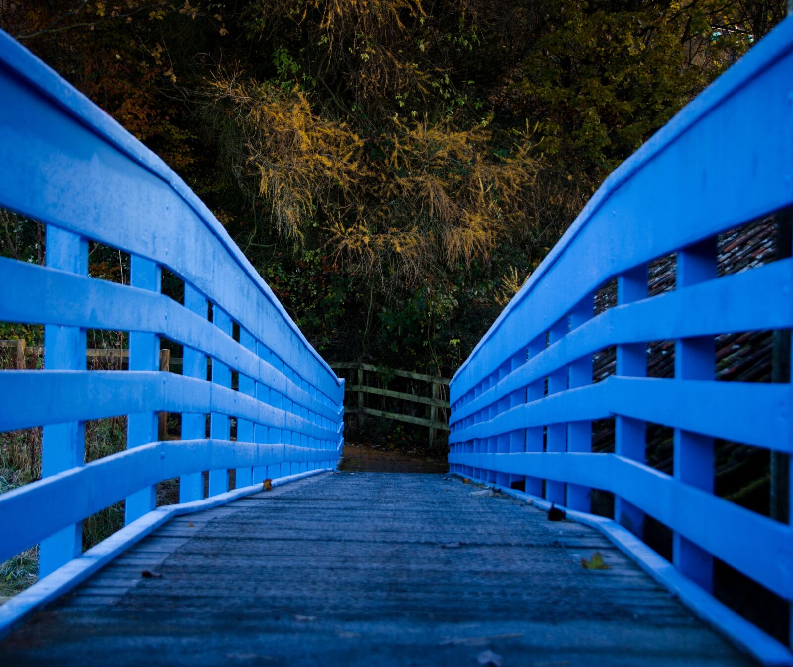 Nikon D7000 sample photo. Bridge, wooden, wood photography