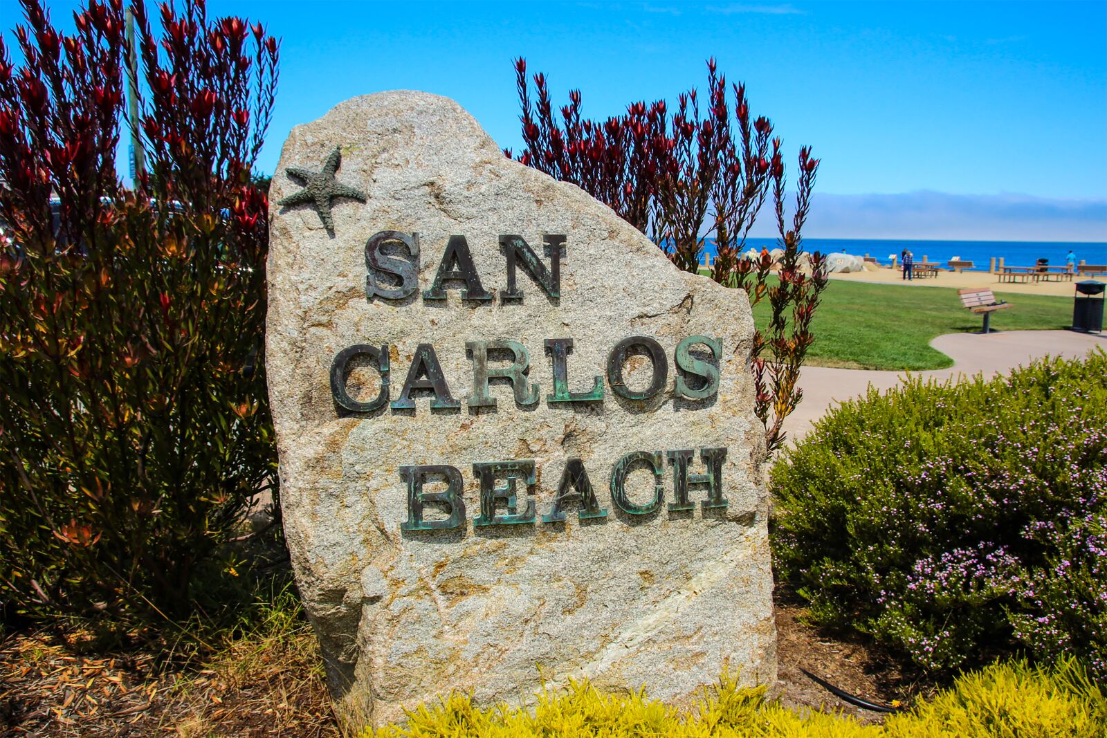 Canon EOS 600D (Rebel EOS T3i / EOS Kiss X5) sample photo. San carlos beach, monterey photography