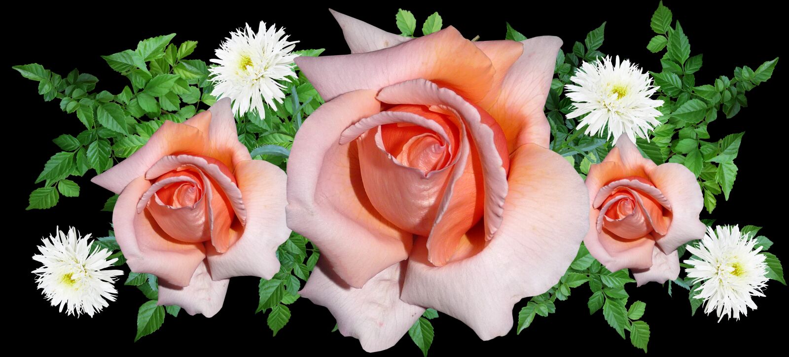 Panasonic Lumix DMC-FZ28 sample photo. Flowers, roses, daisies photography