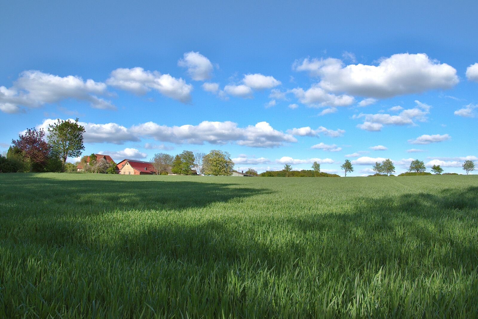 Nikon D5600 sample photo. Landscape, agricultural, field photography