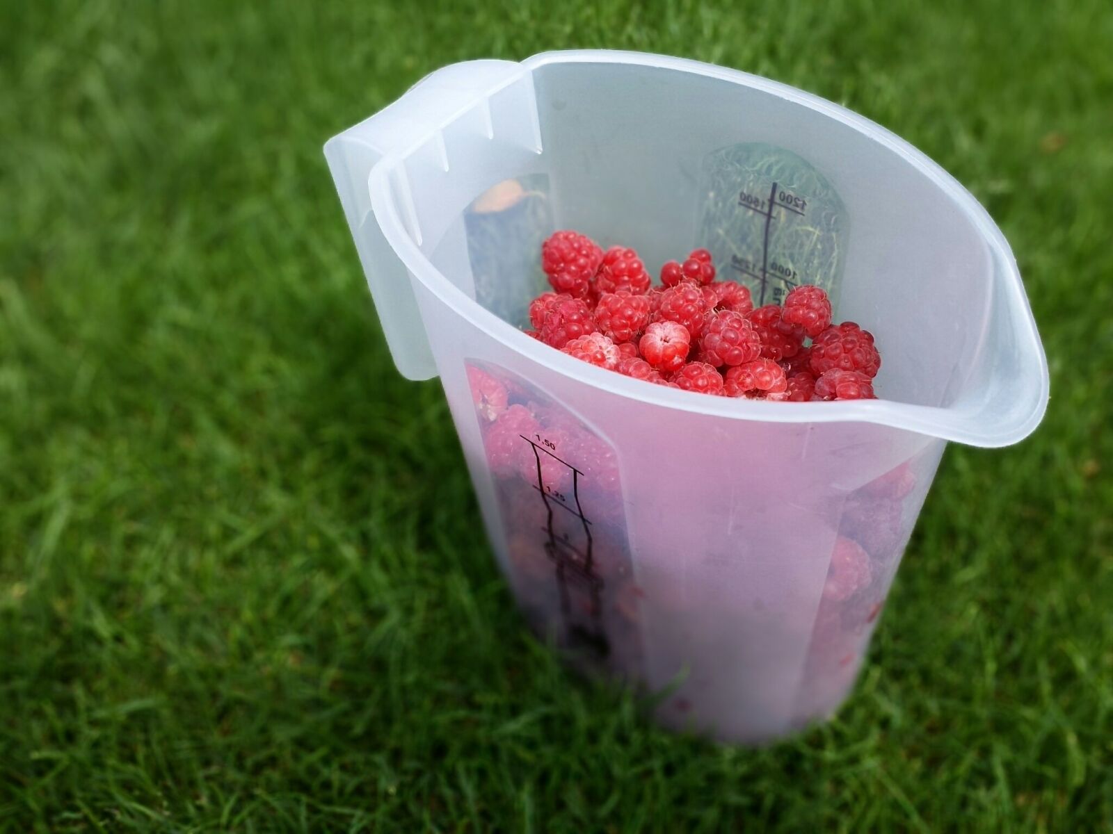 Samsung Galaxy S4 sample photo. Picnic, fruits, raspberries photography
