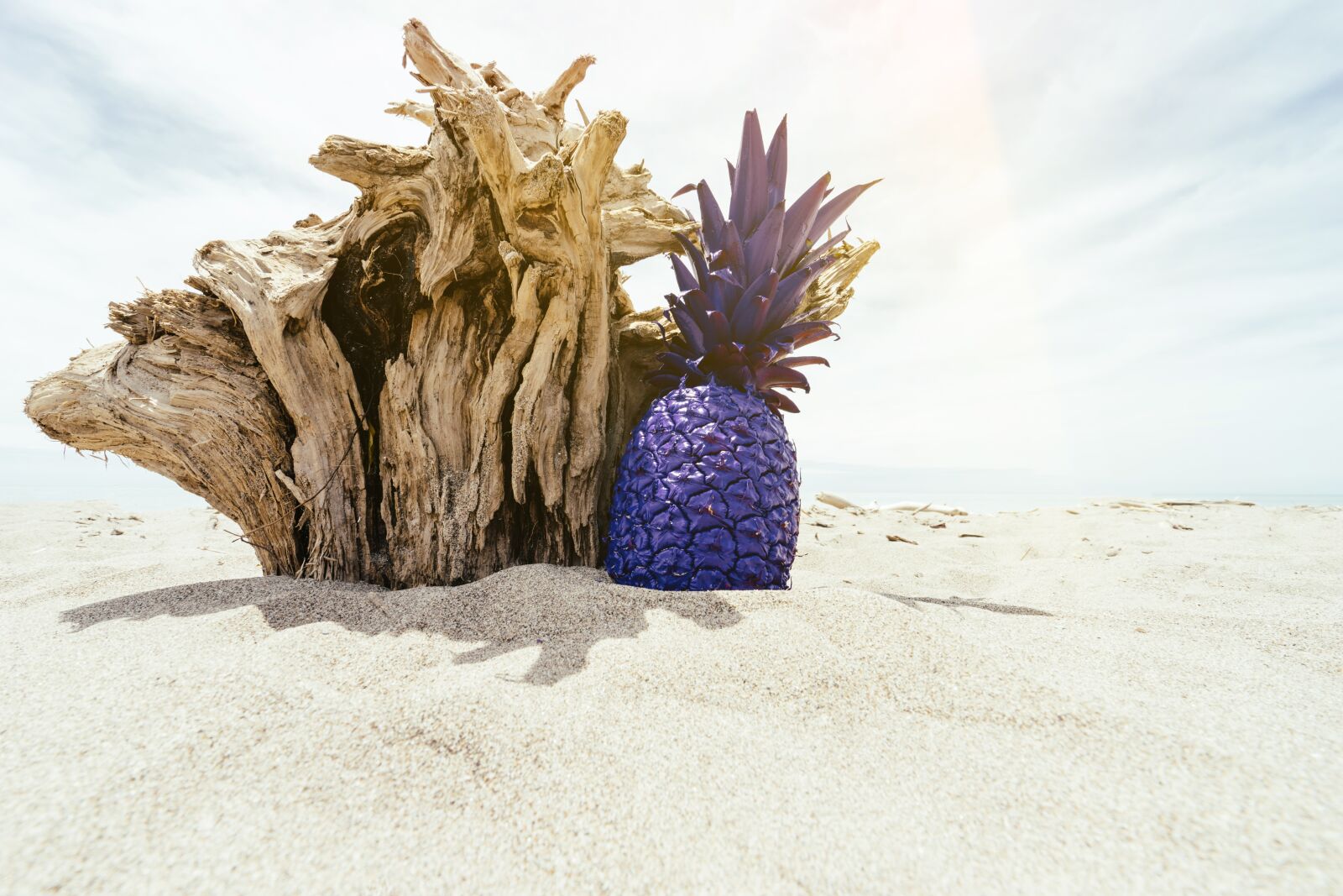 Sony Vario-Tessar T* FE 16-35mm F4 ZA OSS sample photo. Beach, island, ocean photography