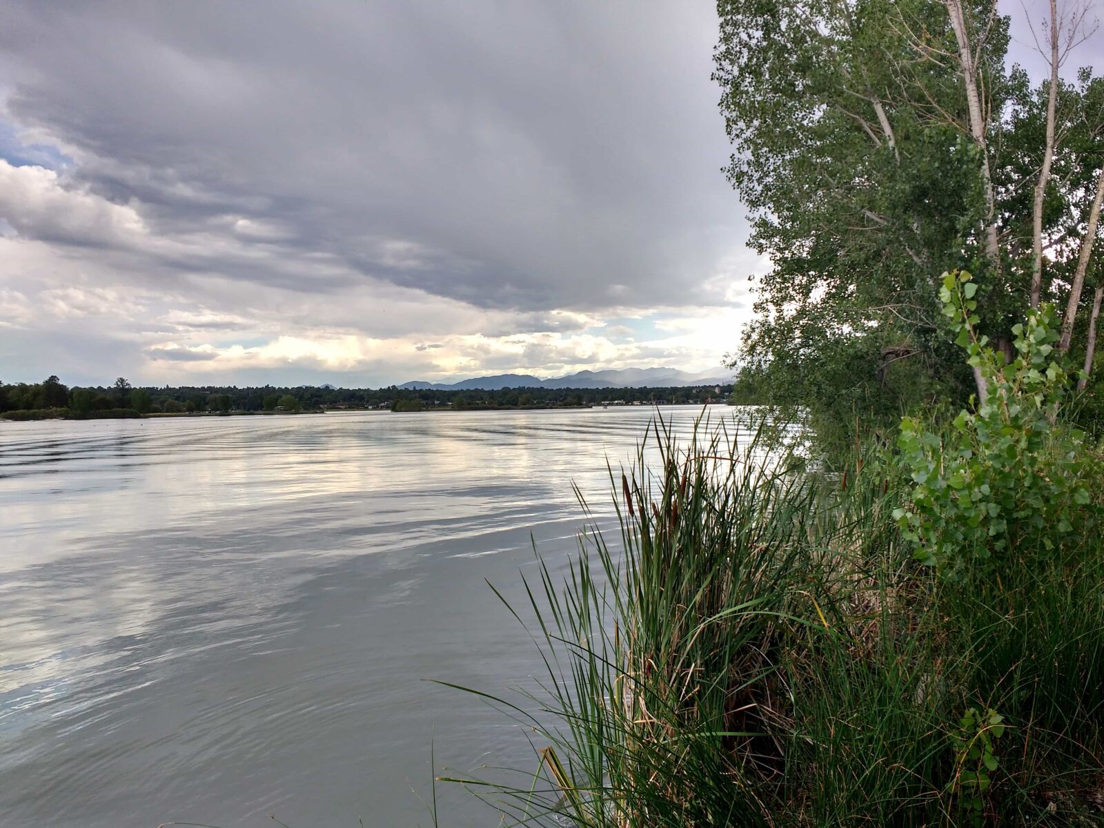 Motorola MotoG3 sample photo. Forest, lakeside, water, shore photography