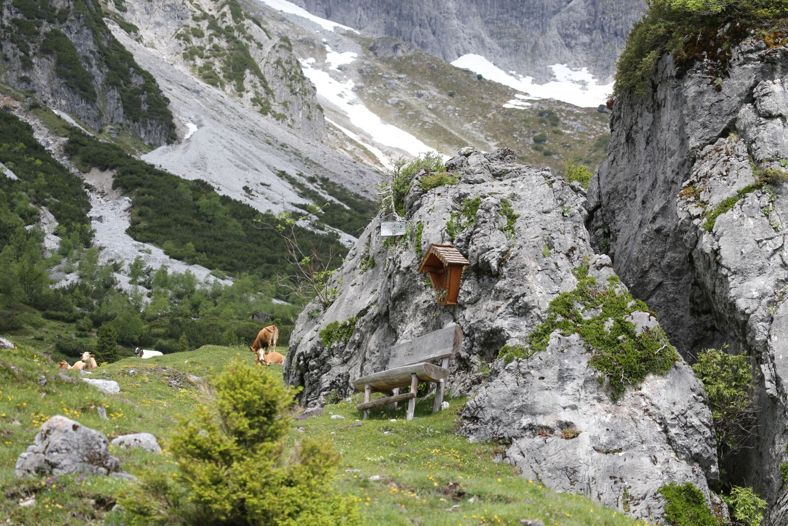 Canon EF 100-400mm F4.5-5.6L IS USM sample photo. Alm, mountains, meadow photography