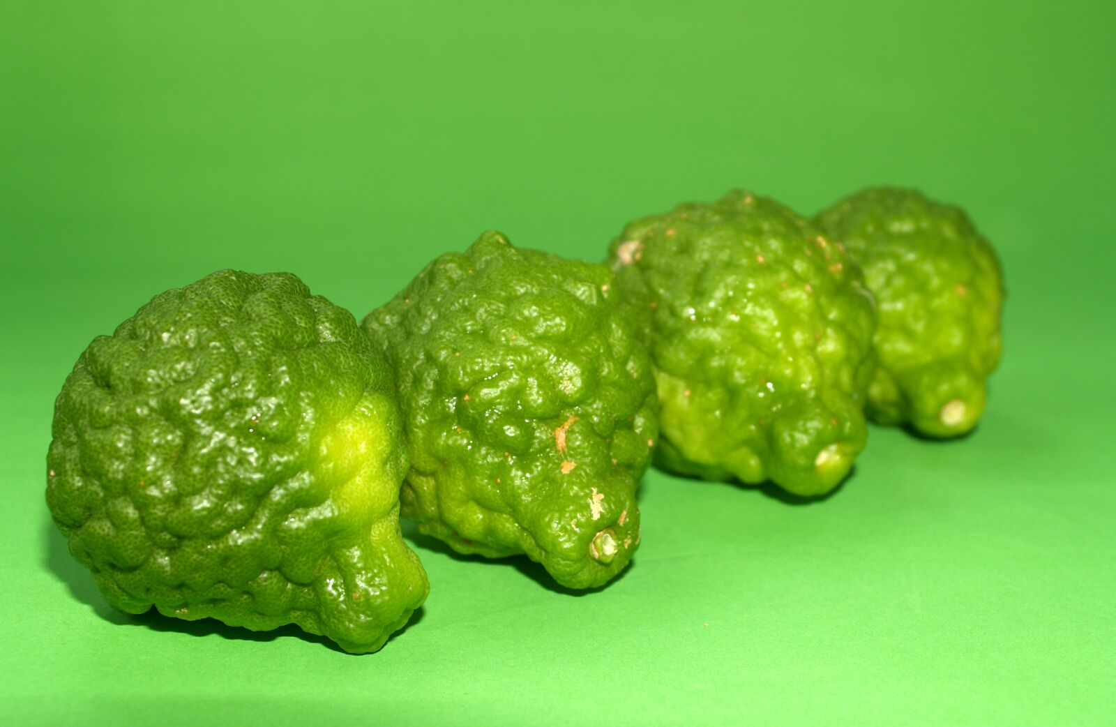 Olympus E-300 (EVOLT E-300) sample photo. Bergamot, fruit, leaf photography